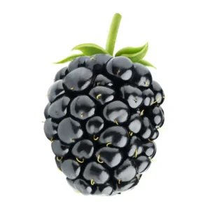 amora-natural-congelada-1kg.jpg