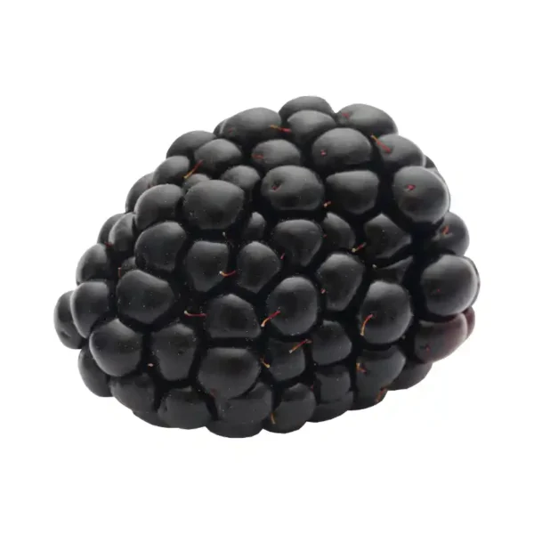 Amora natural congelada 1kg pronta para consumo