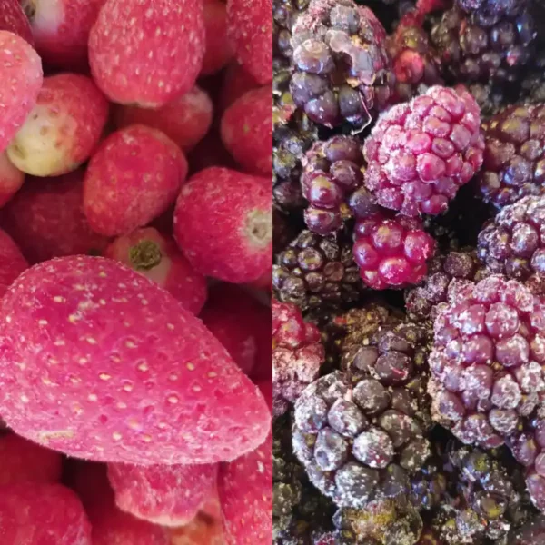 amorango