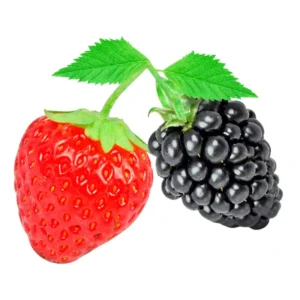 Amorango Congelado 1kg Amora e Morango Naturais