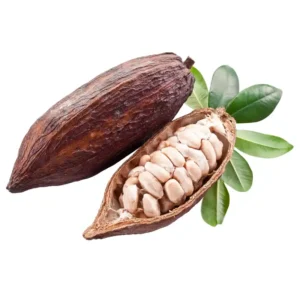 Polpa de cacau integral congelada 1kg – 100% natural