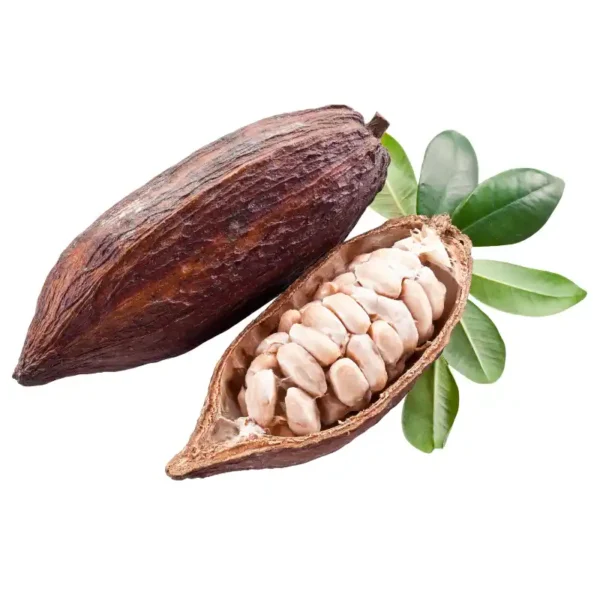 Polpa de cacau integral congelada 1kg – 100% natural