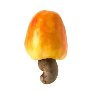 Polpa integral de caju congelada 1kg natural sem açúcar – Super Ice Frutas Especiais