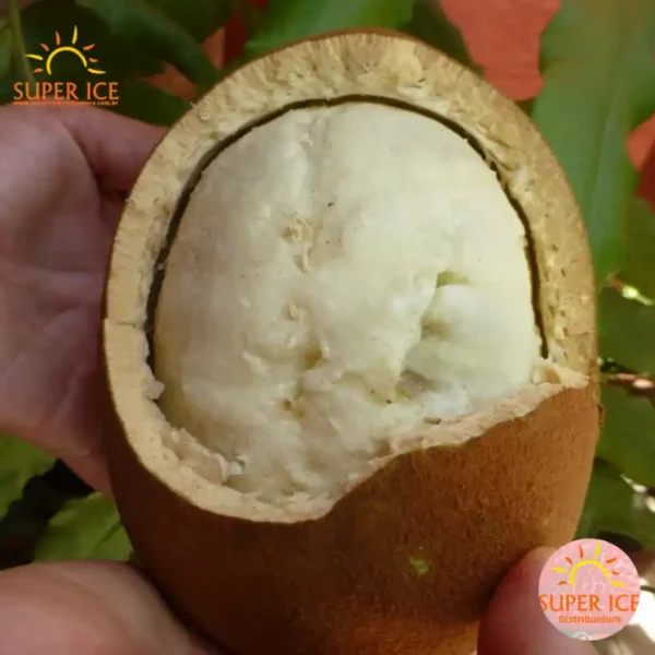 cupuaçu (3)