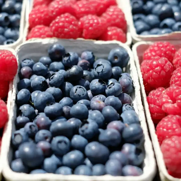 framboberry (2)