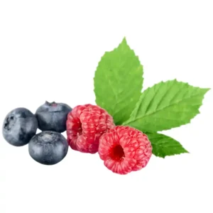 ramboBerry congelado 1kg – Framboesa com Blueberry natural sem açúcar