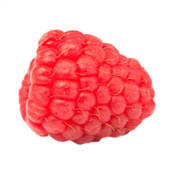 Framboesa natural congelada 1kg – fruta vermelha premium