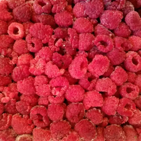 framboesa (2)
