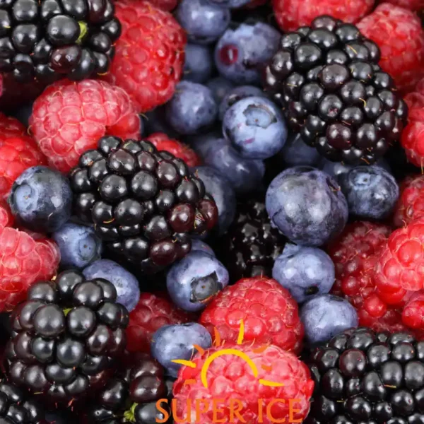 frutas vermelhas (7)