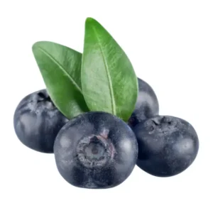 Blueberry (mirtilo) congelado natural 1kg – fruta rica em antioxidantes