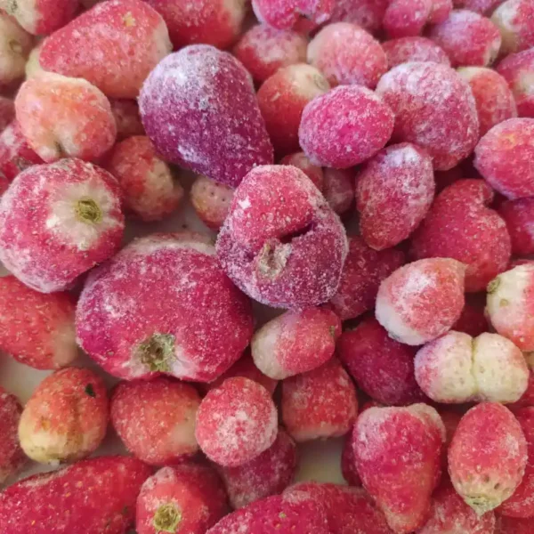 morango (2)