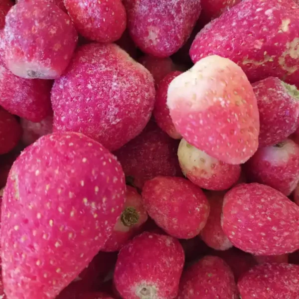 morango (4)