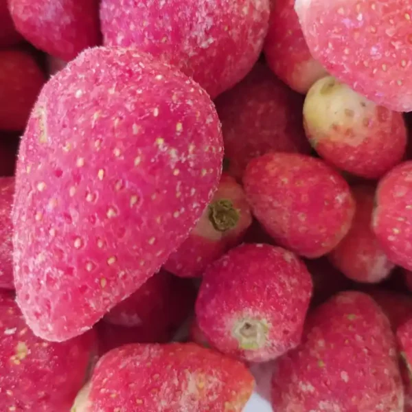 morango (7)